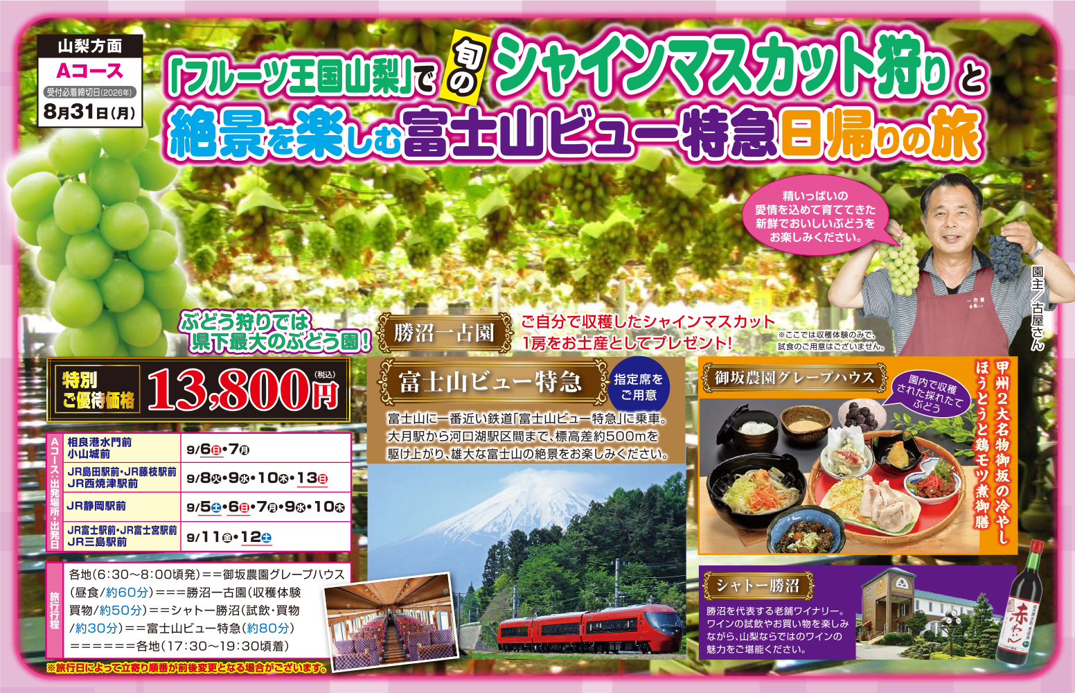 Aコース『「フルーツ王国山梨」で旬のシャインマスカット狩りと絶景を楽しむ富士山ビュー特急日帰りの旅』