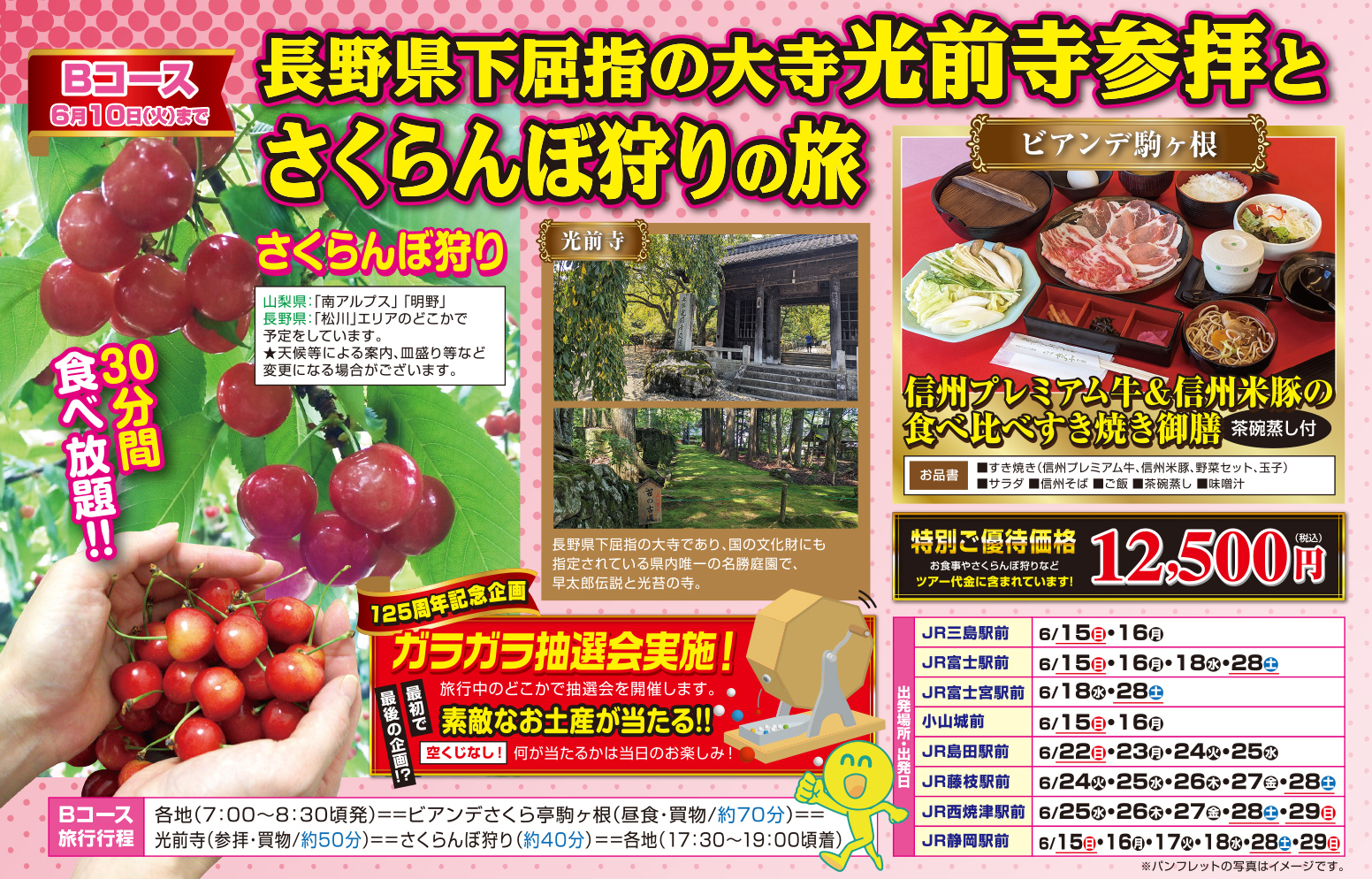 Bコース『長野県下屈指の大寺光前寺参拝とさくらんぼ狩りの旅』