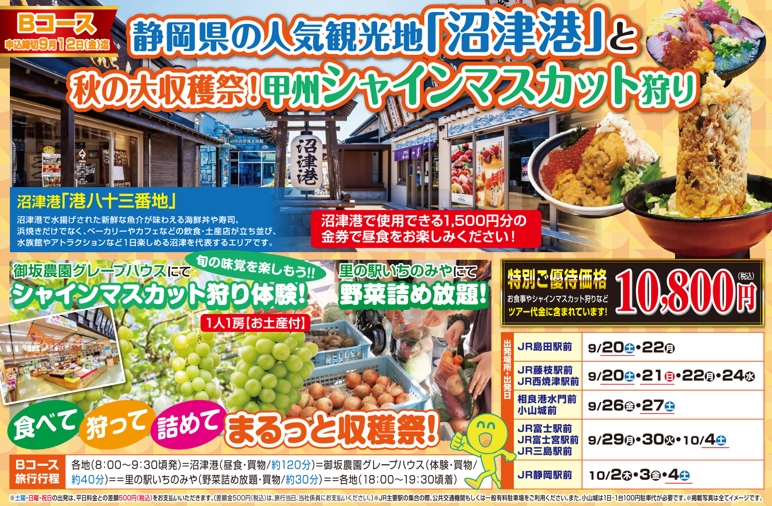 Bコース『静岡の人気観光地「沼津港」と秋の大収穫祭！甲州シャインマスカット狩り』