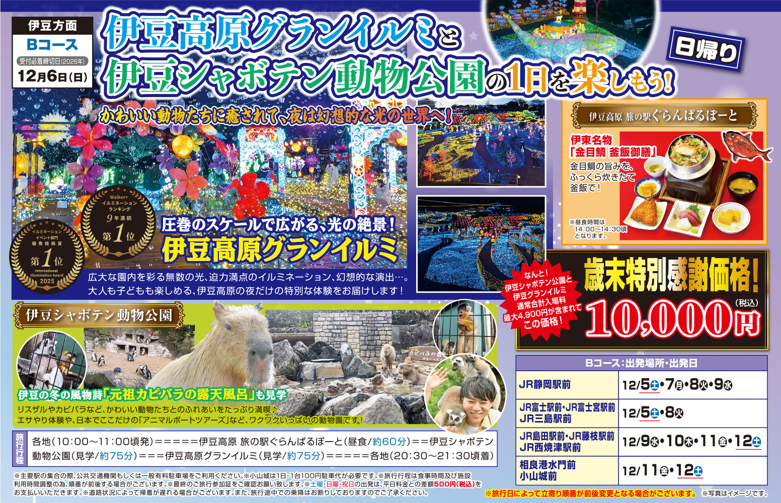 Bコース『伊豆高原グランイルミと伊豆シャボテン動物公園の1日を楽しもう！』